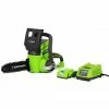 Lawn & Outdoor Power GreenWorks 20362 24-Volt 10-Inch 2.0Ah Tool-Less Cordless Chainsaw Kit
