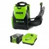 Lawn & Outdoor Power GreenWorks 2404802 80-Volt 2.5Ah 580-Cfm Axial Fan Brushless Backpack Blower Kit