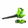 Lawn & Outdoor Power GreenWorks 24322VT 40V 185-Mph Cordless Blower/Vacuum Kit