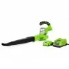 Lawn & Outdoor Power GreenWorks 24352 24V 130-Mph Adjustable Dual-Speed Cordless Leaf Blower Kit