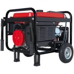 DuroStar DS4850EH 4,850-Watt Dual Fuel Generator W/ Electric Start