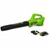 Lawn & Outdoor Power GreenWorks Commercial 24B315 24V 315 CFM Cordless Brushless Leaf Blower Kit