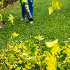 Lawn & Outdoor Power GreenWorks Commercial 24B315 24V 315 CFM Cordless Brushless Leaf Blower Kit 13 Lawn & Outdoor Power GreenWorks Commercial 24B315 24V 315 CFM Cordless Brushless Leaf Blower Kit