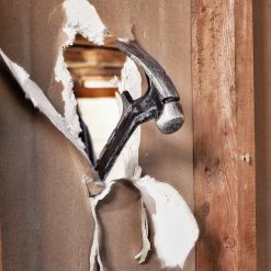 DeWALT DWHT51366 22-Ounce Multi-Functional Rip Claw Long Handle Demo Hammer Tools & Equipment